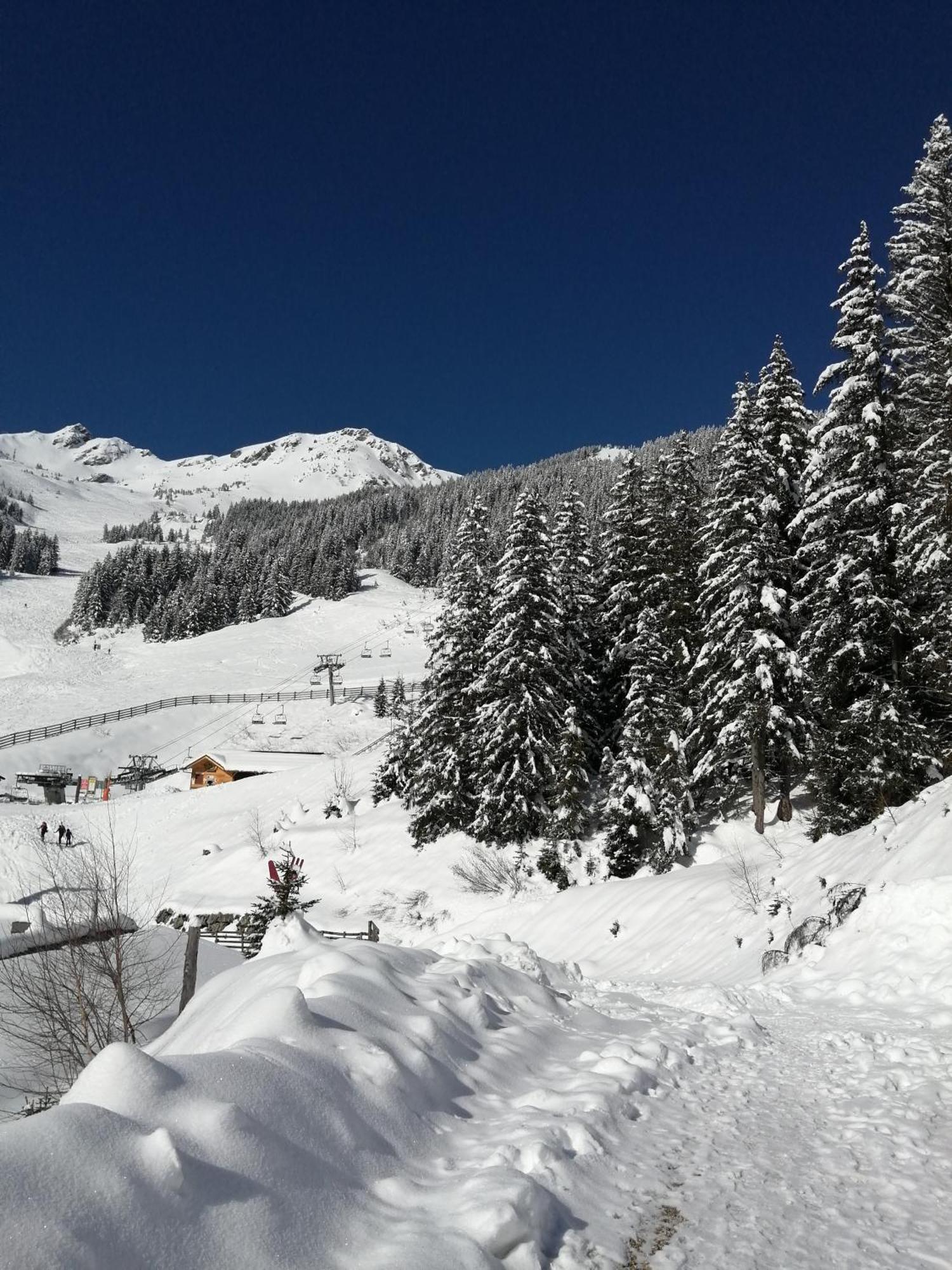 Superbe Studio Aux 7 Laux La Ferrière Exteriör bild