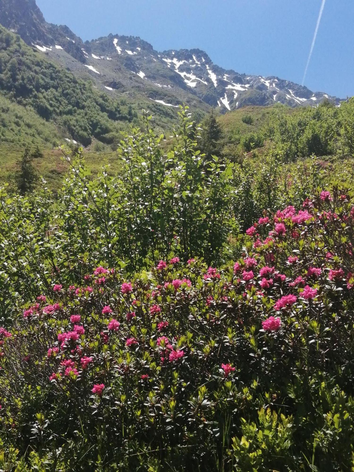 Superbe Studio Aux 7 Laux La Ferrière Exteriör bild