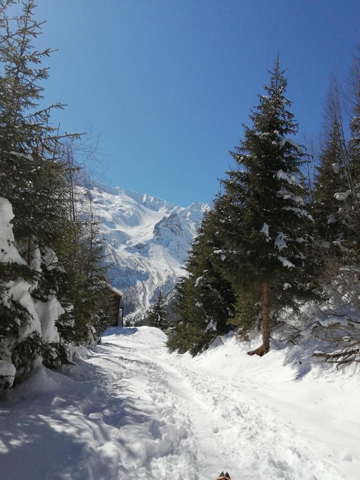 Superbe Studio Aux 7 Laux La Ferrière Exteriör bild